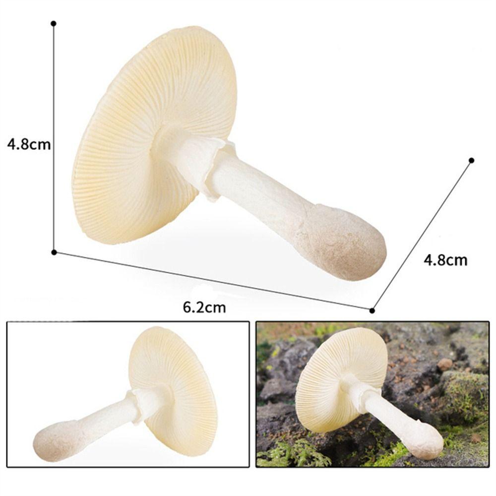 Vegetable Model Simulation Mushroom Landscape Miniatures Fungus Model  Home Decoration