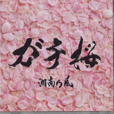 CD SHONAN NO KAZE - Gachi Zakura TFCC89293 TOYS FACTORY Япония Японская Поп/Рок Б/У