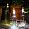 USB Rechargeable LED Bottle Lights Mini Bottle Stopper Lamp  Christmas Decor