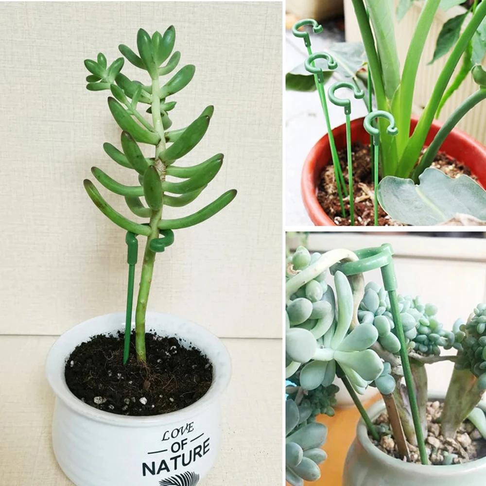 5/10pc Plant Support Stakes Garden Single Stem Flower Support Stake Amaryllis Plant Cage Support Plastic Flower Stand Succulents