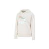 Классический пуловер с капюшоном и принтом логотипа Женские топы Off-White 531385-88