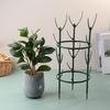 Plant Support Pile Plastic Semicircle Climbing Vines Stake Bonsai Flower Stand Cage Garden Plant Grow Fixing Rod Rack