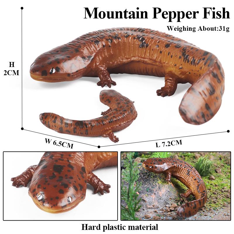 Oenux Амфибии Водное животное Тритон Саламандра Cryptobranchoidea Животные Модель Фигурка Действия Образование Милая Детская Игрушка Подарок
