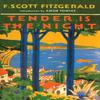 Tender Is the Night by F. Scott Fitzgerald Paperback Book 9781398539891