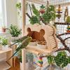 Splash-proof Bird Feeding Station Large Capacity Bird Perch Play Toy Food Dispensers  Aviary Use