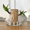 Farms Crystal Cut Glass Pot for Brazilian Wood Plant | Ideal Glass Container for Lucky Brazil Wood Plant | Best Glass Bowl Home Decor