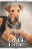 Книга Airedale Terrier : Dog Breed Overview and Guide