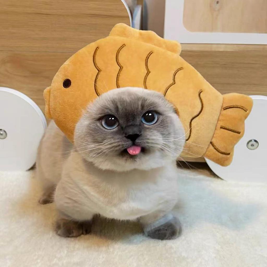 Украшение для питомца головной убор плюшевый щенок собака кошка милее чем медведь фото головной убор смешной