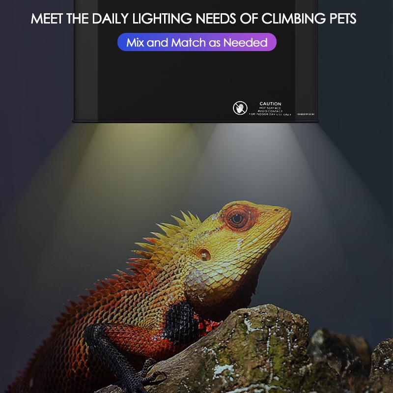 Большой террариум для рептилий и черепах, кормовой бокс, дождевой лес, УФА лампа, УФБ лампа, обогрев, интегрированный двойной плафон, освещение для амфибий