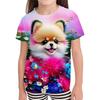 Boys and Girls' Clothes For Children Kawaii Fluffy Cat Cartoon Fashion T-shirt 3D Short Sleeve Tee Shirts Kids Clothing Summer