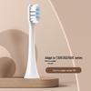 ZhuChuang JingPin Replacement Electric Toothbrush Heads