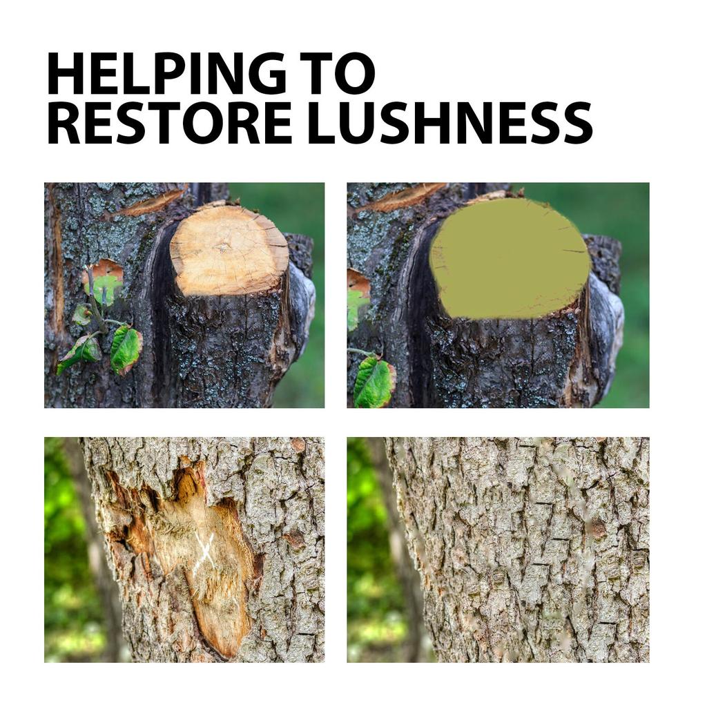 Средство для мазков деревьев Средство для мазков растений Паста для деревьев Восстанавливающее средство для краски Паста для ран деревьев