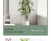 Nordic Traveller's Palm Artificial Plant for Living Room & Window Decor - Potted Greenery for Indoor Landscaping
