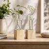 Home Decoration Hydroponic Flower Vase Minimalist Hydroponic Flowerpot  Tabletop Display