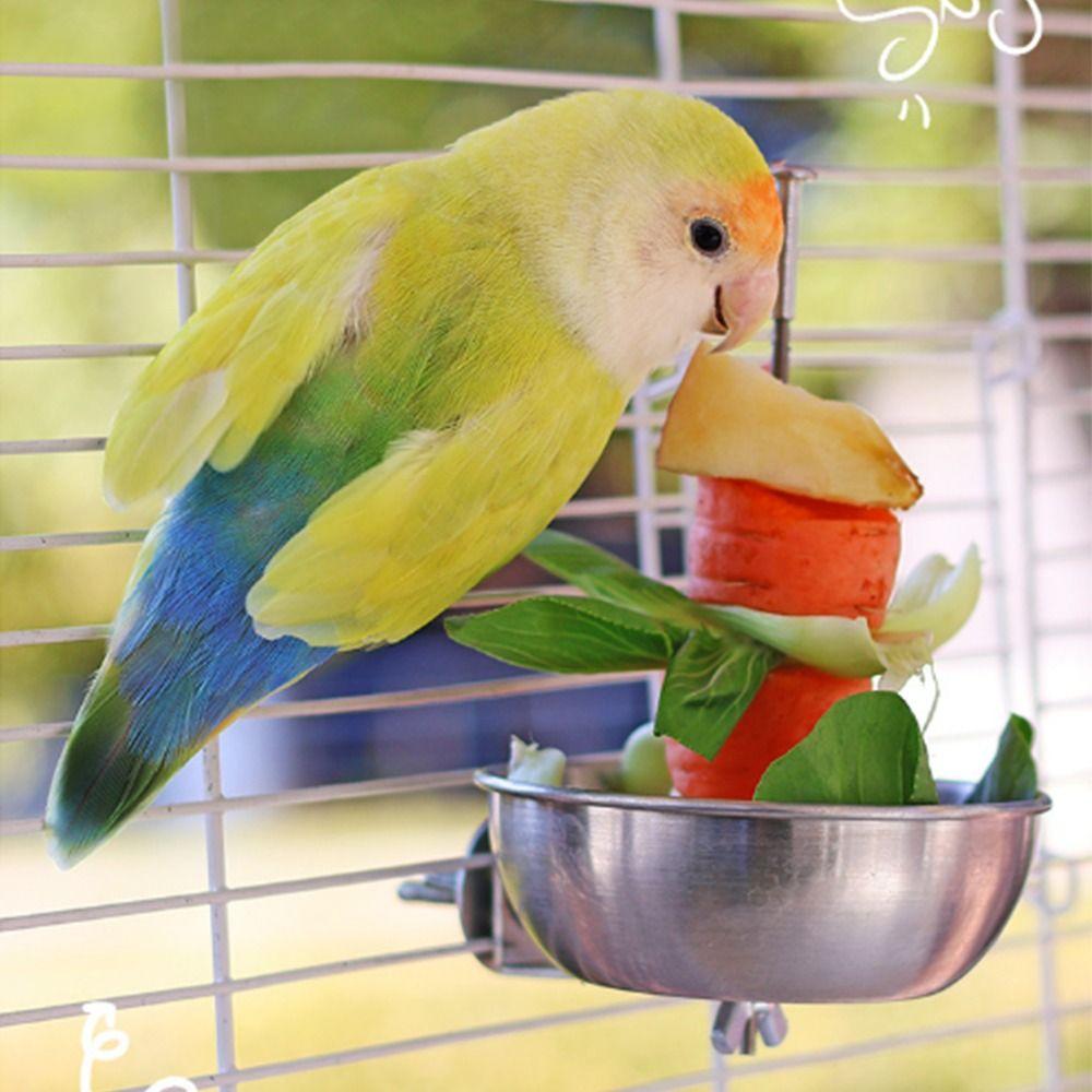 Stainless Steel Parrot Feeder Splash-Proof Vegetable Skewer Bird Food Holder  Bird Supplies