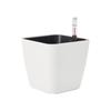 Self Watering Planter with Water Level Indicators Decorative Flower Pots for Bedroom Kitchen Office Home Accessories