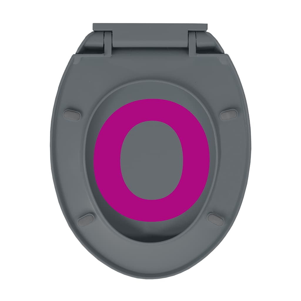 Soft Close Toilet Seat with Quick Release Mechanism Grey Oval