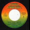 7inch Record WICKY WACKY, JIMPY - Sweet Sweet Jamaica / Love Jamaica SSG12 Studio Starr Ga 2004 Jamaica Reggae, Ska & Dub