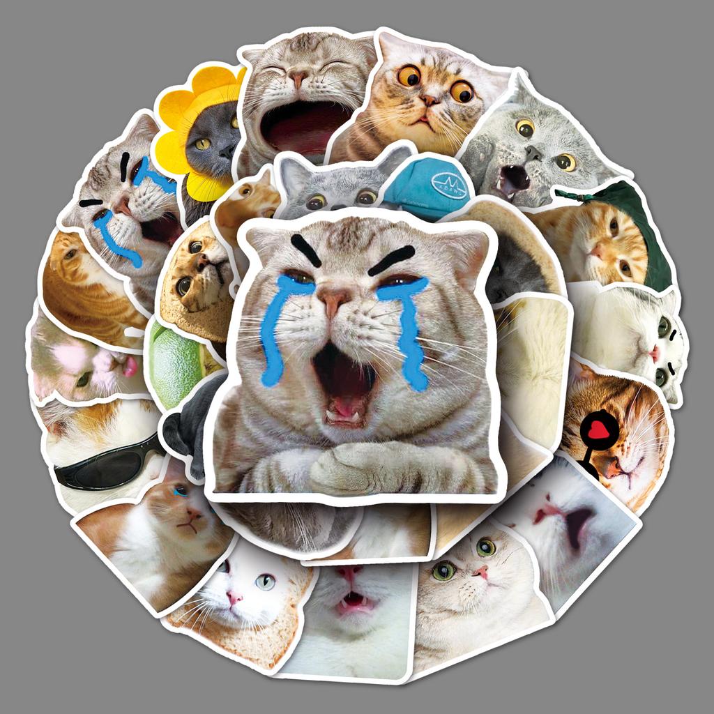 50 Internet Celebrity Cat Emoticons Packs Graffiti Personalized Hot DIY Mobile Suitcase Stickers Waterproof