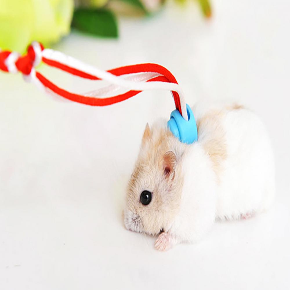 Поводок для домашних животных Поводок для ходьбы на тяговом канате 1,4/2 м Хомяк Морская свинка Кобая Кролики Хорьки Шиншиллы Маленький ошейник Поводок