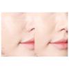 The Saem Cover Perfection Fixealer