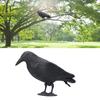 Crow Decoration Simulation Plastic Crow Decoration With Footposts Courtyard Garden