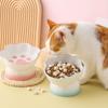 Large Capacity Dog Food Bowl High Foot Pet Drinking Bowl Ceramic Cat Bowl For Cats Dogs