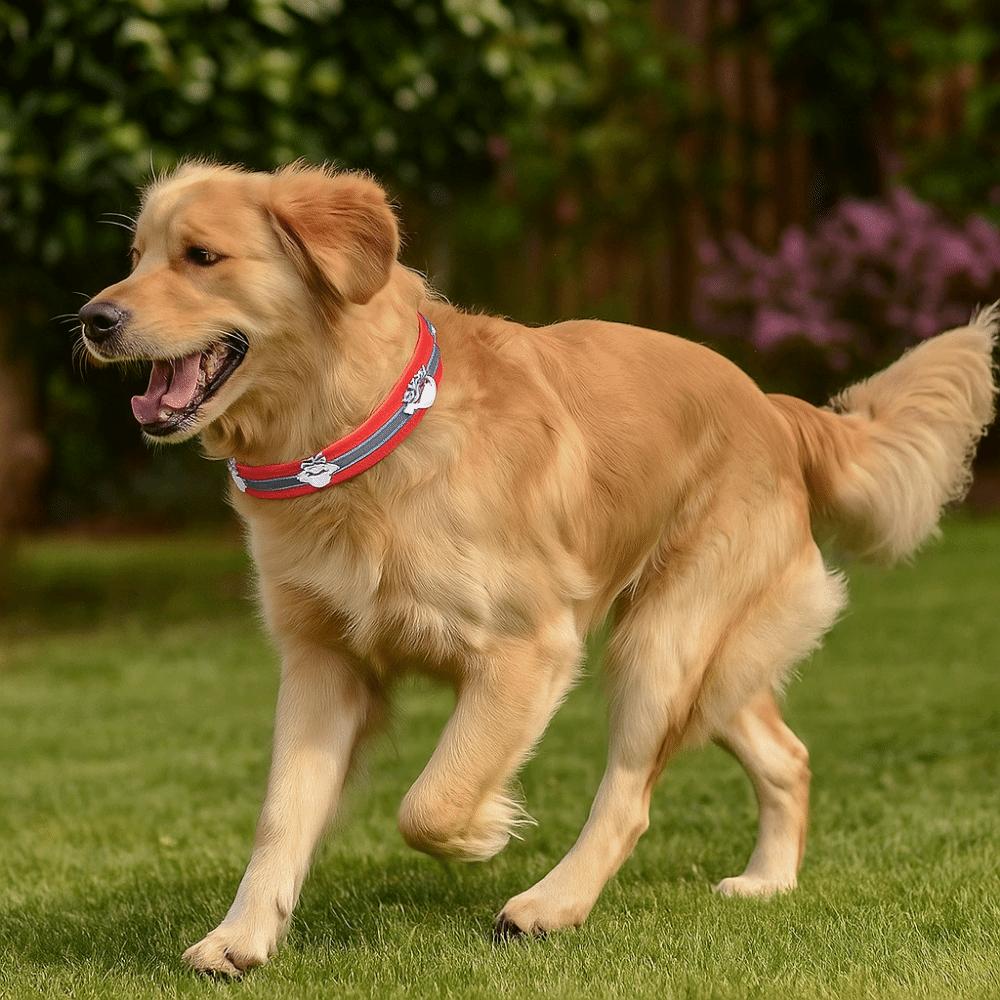 Leather Reflective Dog Collar Adjustable Metal Buckle Rivets Pet Collar Decorative Soft Dog Footprint Collar Pet Supplies
