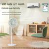 Little Bear DC Inverter Remote Control Floor Fan CN plug (adapter included)