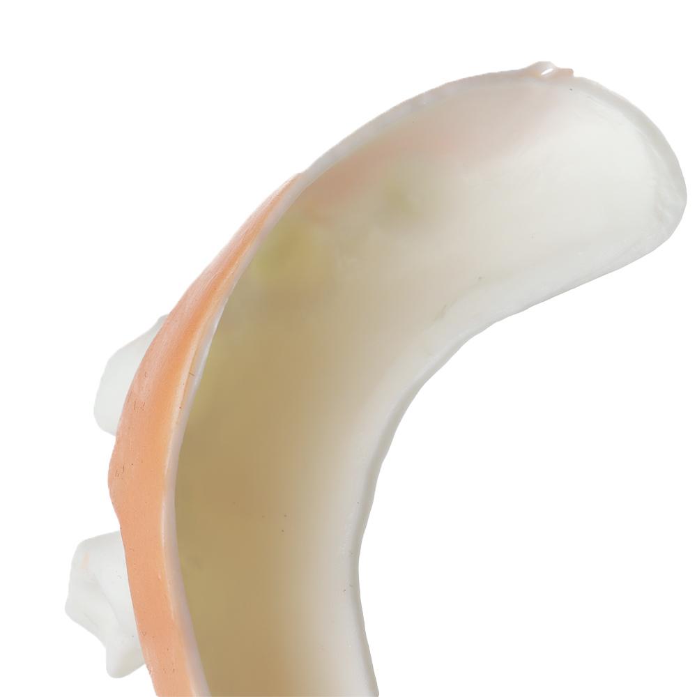 12 шт. Розыгрыш Креативное украшение на Хэллоуин Зуб Игрушка Гнилые зубы Ужасные игрушки Пакеты для вечеринки