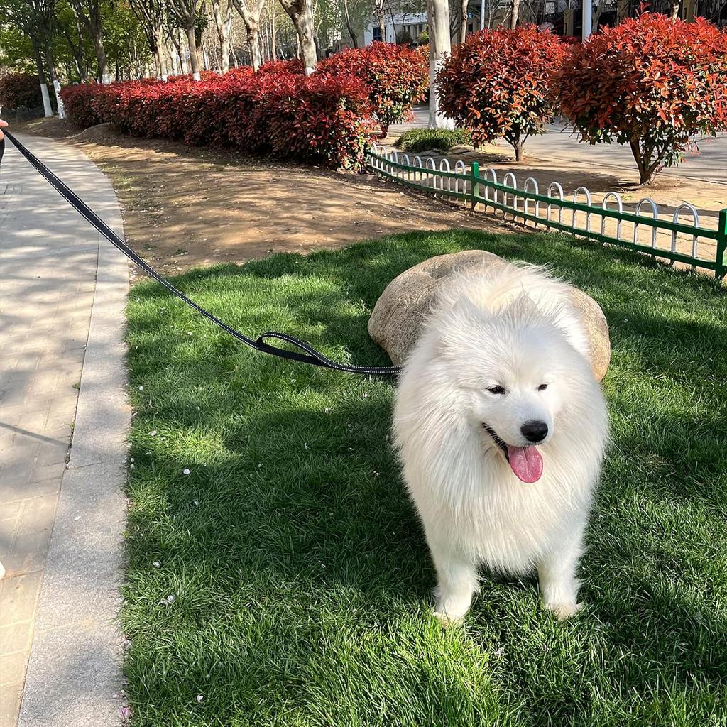 Поводок для собак повышенной прочности с двумя ручками и светоотражающими полосками для безопасности в ночное время - Идеально подходит для крупных и очень крупных пород - Идеально подходит для