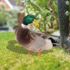 Art Decor Double-Sided Printing Wild Duck Decorations Acrylic Duck Statues Duck Sculpture Realistic