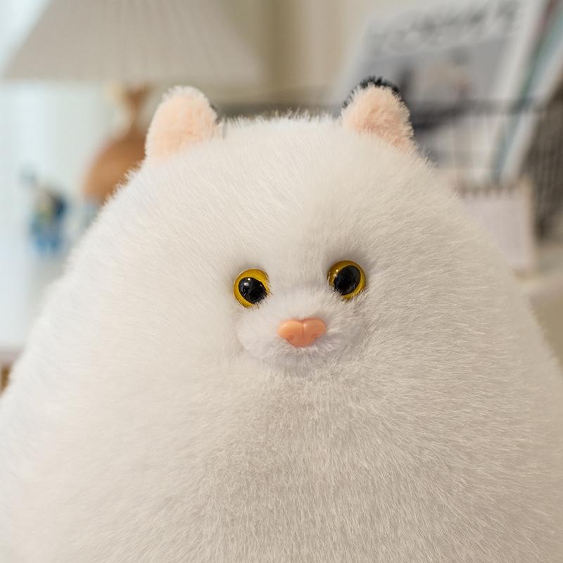 Белый персидский кот Мягкие набивные плюшевые игрушки Милый животный кошачий плюш Кукла Подушка для дивана Подушка для обнимания Подарки для детей Котенка