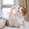 Interactive Silicone Fish Cat Toy Catnip Fillable Relieve Boredom Food-grade Teeth Cleaning Chew Stick for Cats Promotes Healthy Teeth Active Playtime