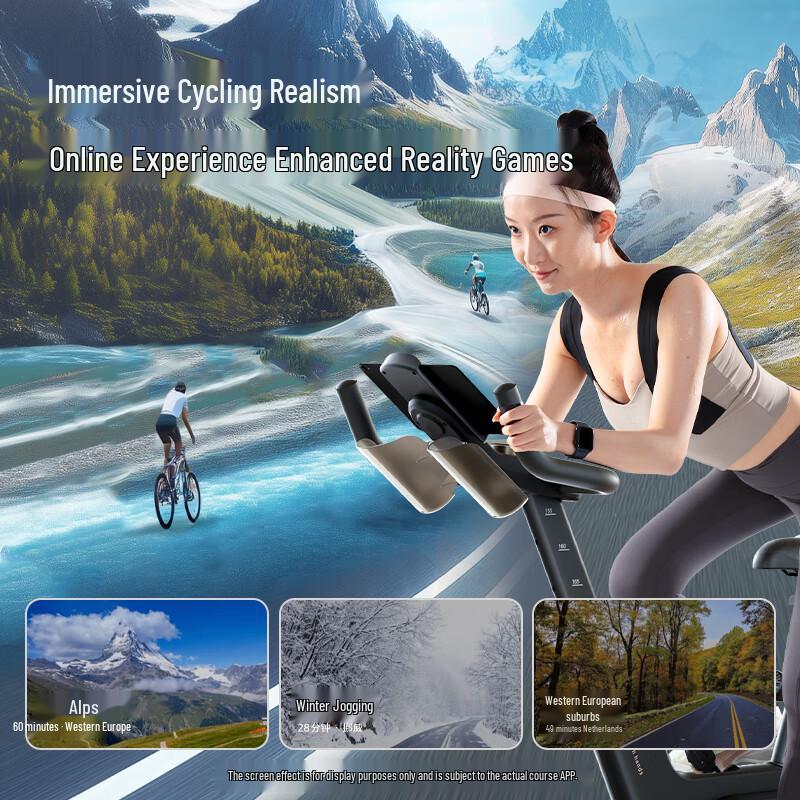 JD Zao Smart Self-Generating Spin Bike CN plug (adapter included)