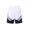 Баскетбольные шорты Li Ning мужские белые AAPS151-2-