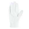 TITLEIST Professional Golf Glove TG73LHWT-24 LHWT LH White Right-Handed 24cm