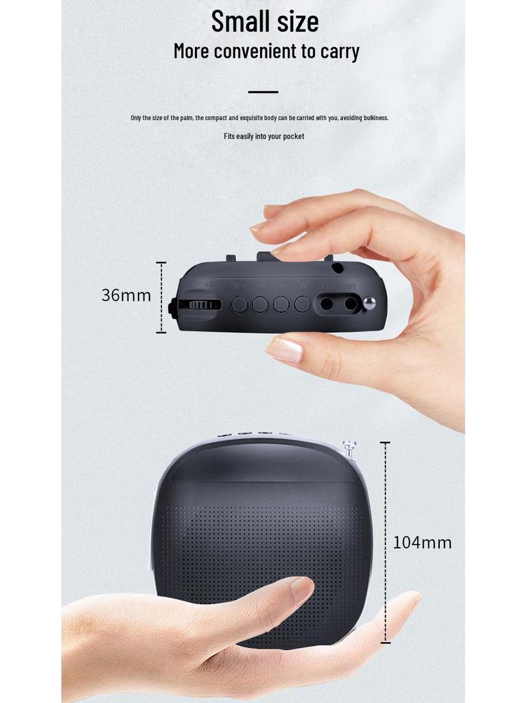 Портативная беспроводная колонка Little Bee с петличным микрофоном для учителей и танцевальных мероприятий