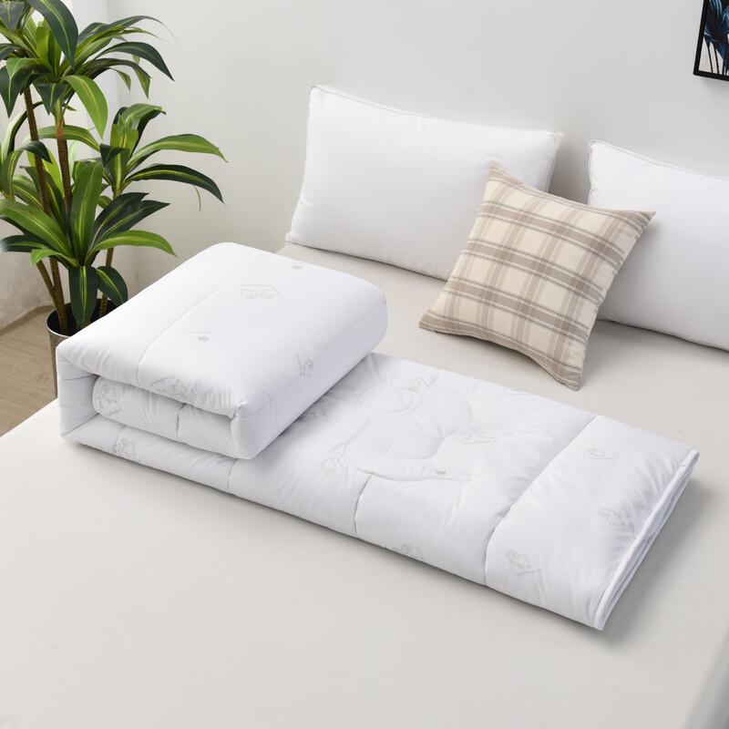 Plover Soft & Fluffy Polyester Winter Quilt