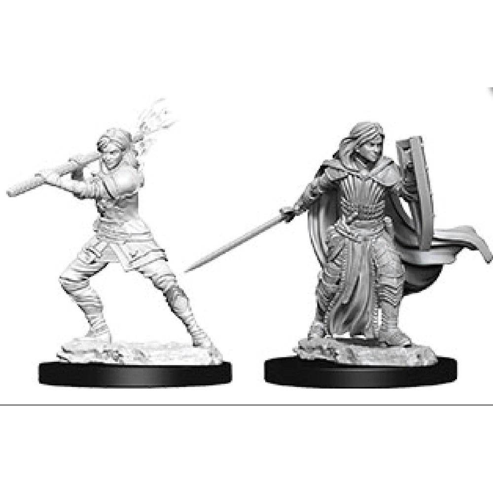 WizKids D&D Nolzur's Marvelous Miniatures Female Human Druid