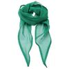 Premier Womens/Ladies Chiffon Scarf
