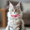 2 Pcs Pet Collar with Bell Floral Design Cat Collar with Buckle Adjustable Puppy Collar for Tiny Boys Girls Kitten Dogs Small Animals