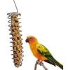 Bird Foraging Toy Feeder Parrot Treat Fruit Vegetable Seed Holder Feeder Food Basket Tool Stainless Steel Cage Accessories for Parakeet Cockatiel