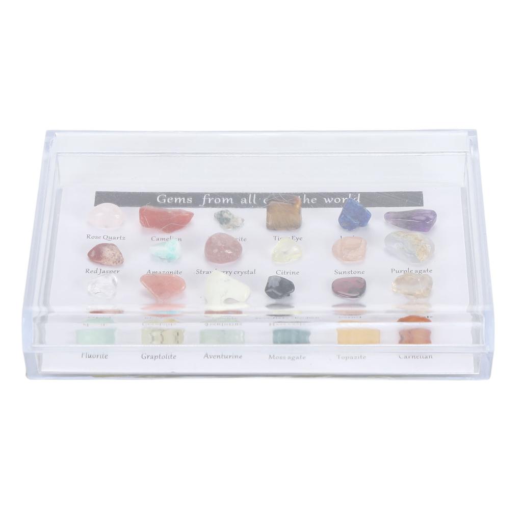 Mineral Rock Collection Kit Fun Attractive Rock Science Educational Kit with Clear Display Case for