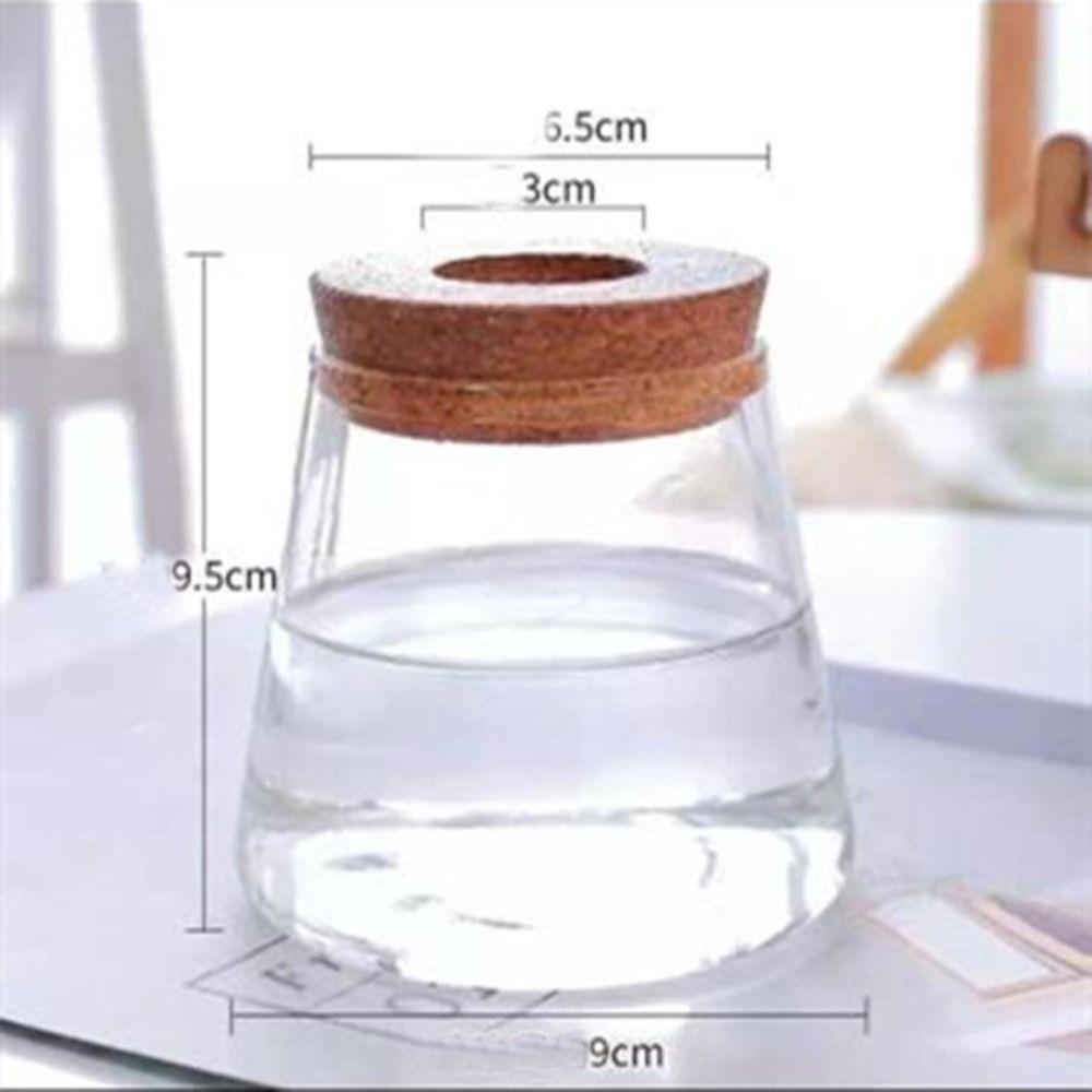 Прозрачный гидропонный цветочный горшок, мини-террариум, украшение для дома, стеклянная ваза