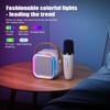 Karaoke Machine with 2 Wireless Microphones for Kids Adults, Portable BT Speaker with Bass/Treble