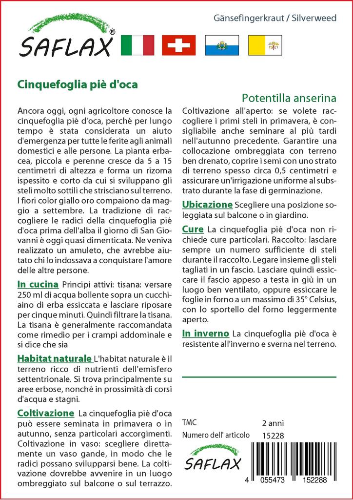 SAFLAX Garden in the Bag - Лапчатка гусиная - 20 семян - С субстратом в подходящем пакете-стойке - Лапчатка гусиная