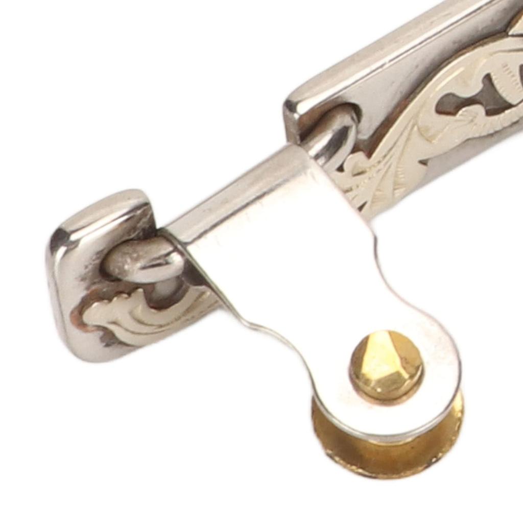 EVTSCan 1 пара сапог для верховой езды из нержавеющей стали в стиле вестерн, ковбойские сапоги для мужчин и женщин, декоративные, с вращающейся шестерней для верховой езды, шпоры, шпоры, шпоры,