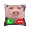 Декоративные наволочки John Pork Is Calling Смешной мем Товар для дома Чехол на подушку Молния Разные размеры