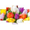 Feeby Five piece picture canvas print, Colourful tulips
